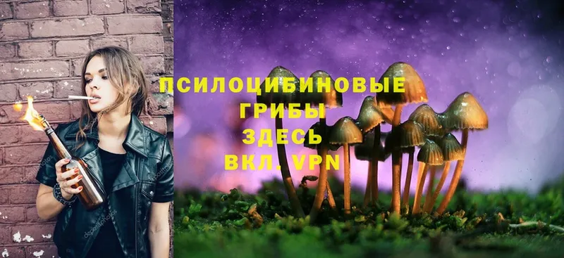 где купить наркотик  Ипатово  Галлюциногенные грибы Magic Shrooms 